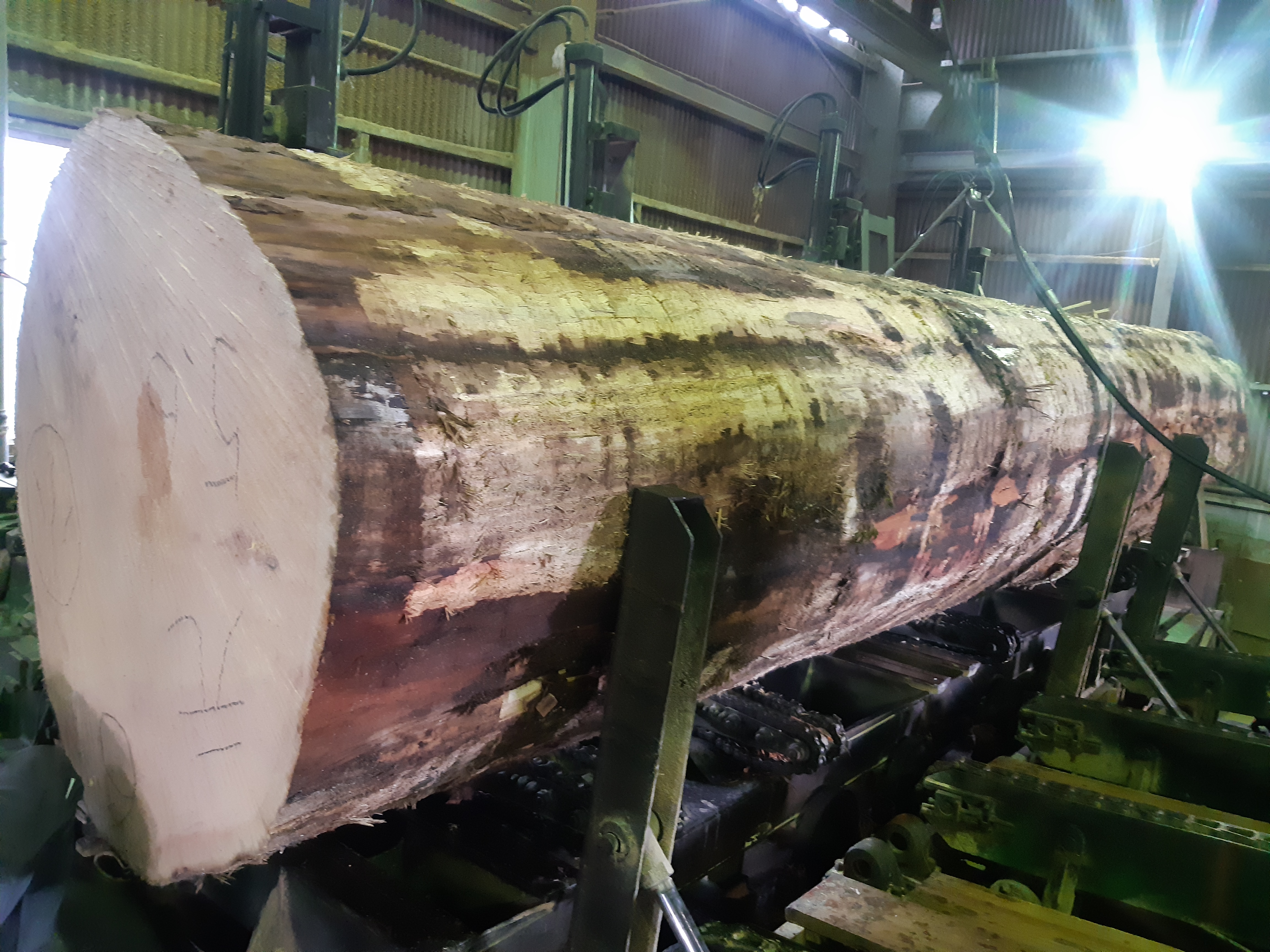 �܂邽����